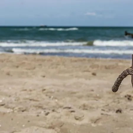 아파트 Sonnenfrieden 02 아렌스호프